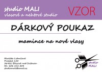 /album/vzory-darkovych-poukazu/dark-pouk-vlasy-jpg1/